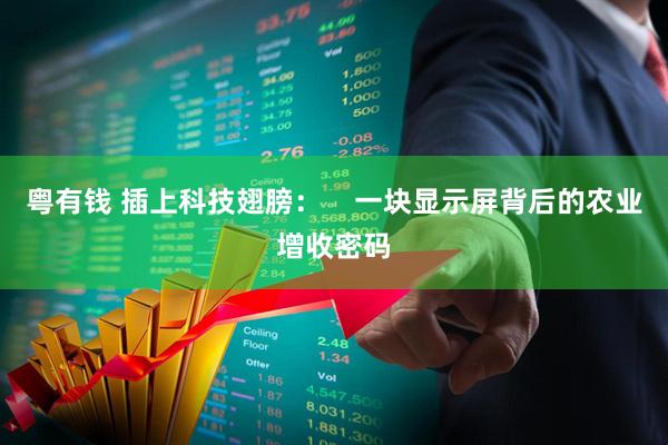 粤有钱 插上科技翅膀：    一块显示屏背后的农业增收密码
