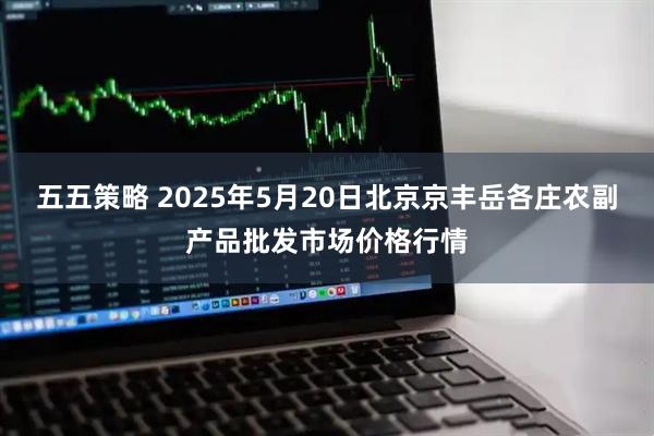 五五策略 2025年5月20日北京京丰岳各庄农副产品批发市场价格行情