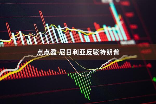 点点盈 尼日利亚反驳特朗普